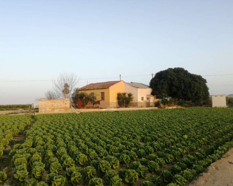 Villa indépendante · D'occasion · Orihuela · Orihuela