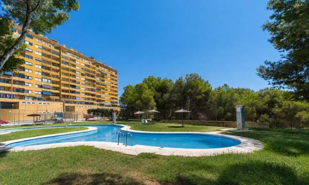 Wohnung - Gebraucht - Orihuela Costa - Altos de Campoamor