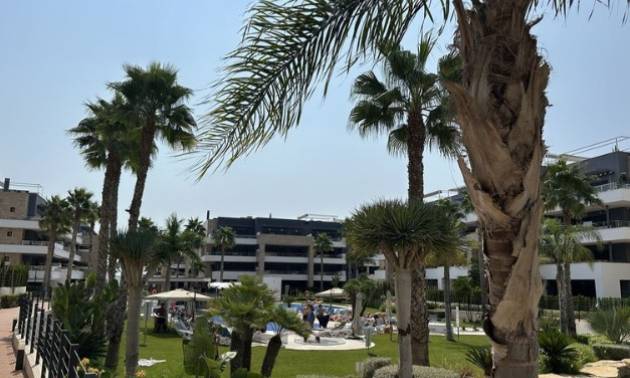 Wohnung - Gebraucht - Orihuela Costa - Playa Flamenca