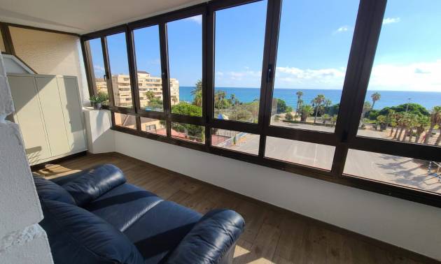 Wohnung - Gebraucht - Torrevieja - Torrevieja