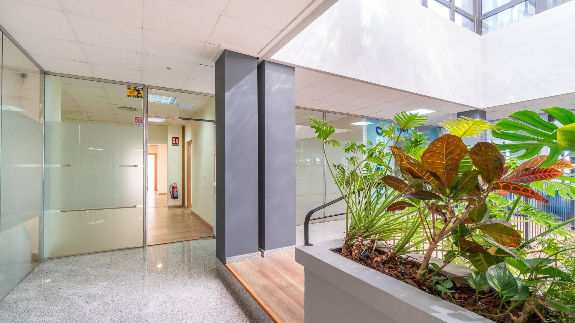 wynajem długoterminowy - Lokale komercyjne - Orihuela Costa - Playa Flamenca