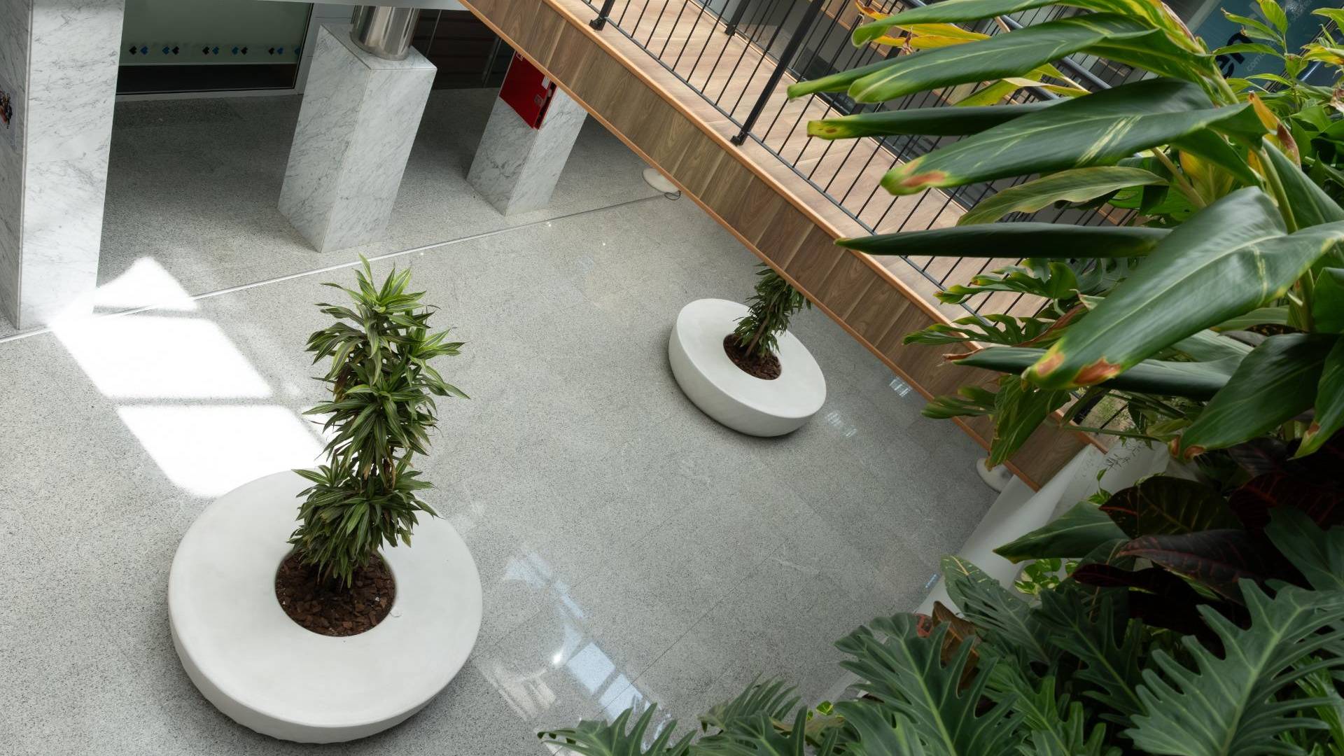 wynajem długoterminowy - Lokale komercyjne - Orihuela Costa - Playa Flamenca