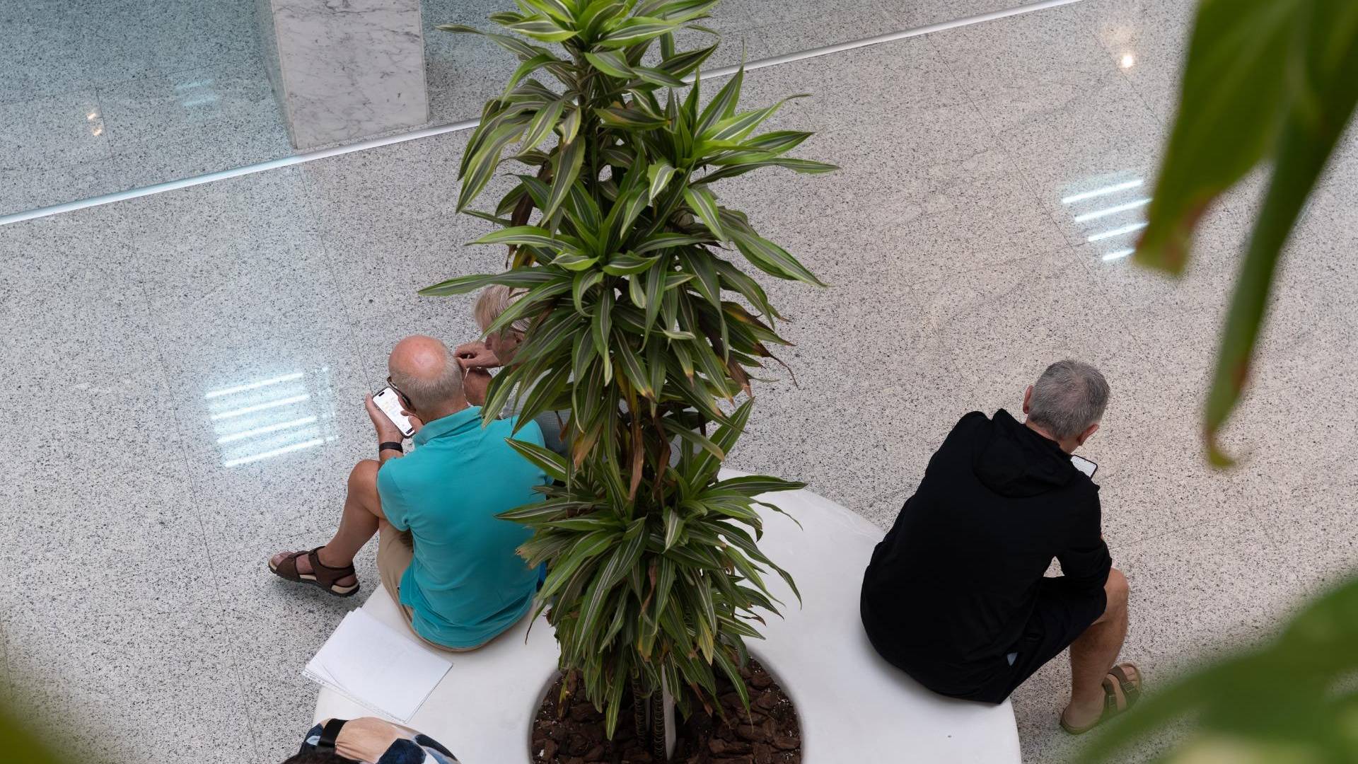 wynajem długoterminowy - Lokale komercyjne - Orihuela Costa - Playa Flamenca