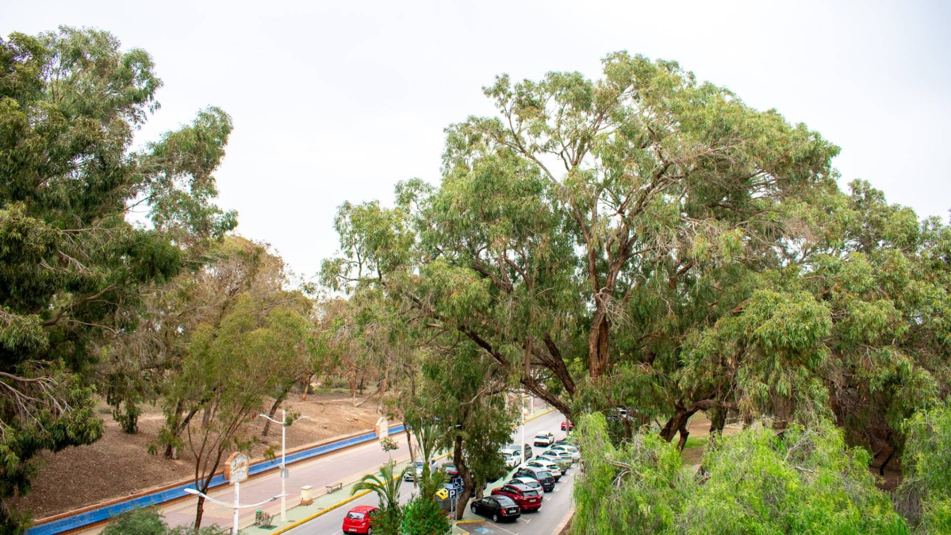 z drugiej ręki - Apartament - Guardamar del Segura - Centro