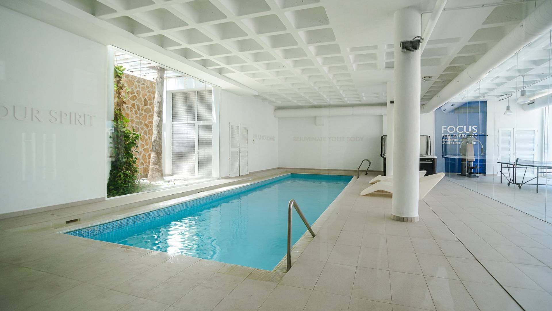 z drugiej ręki - Apartament - Guardamar del Segura - 