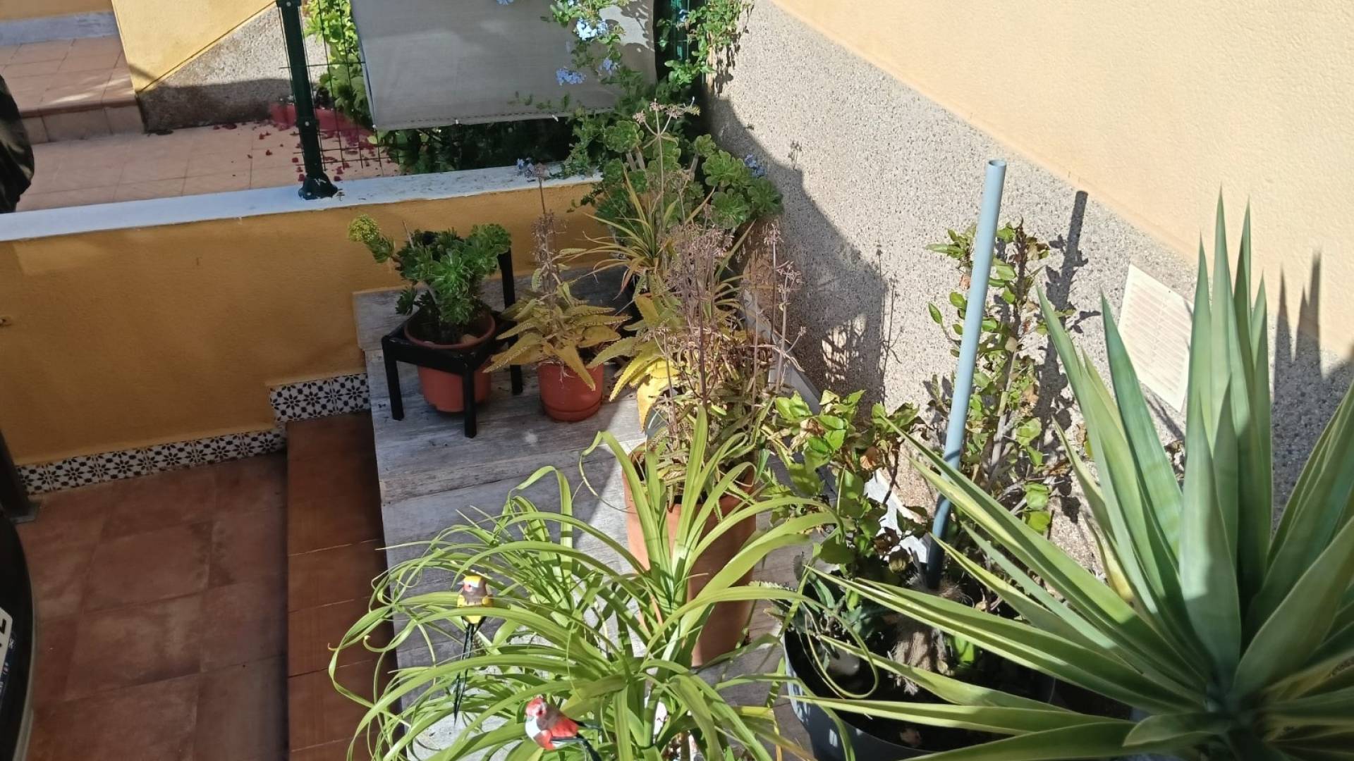 z drugiej ręki - Apartament - Los Montesinos - La Herrada