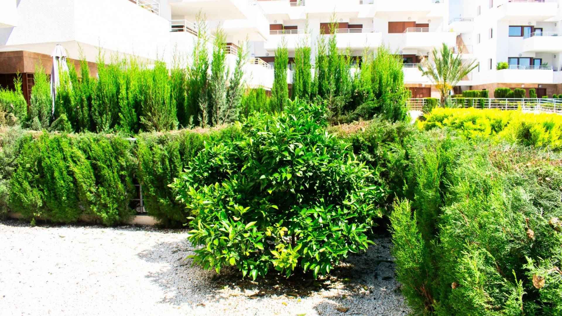 z drugiej ręki - Apartament - Orihuela Costa - Cabo Roig