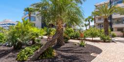 z drugiej ręki - Apartament - Orihuela Costa - Los Dolses
