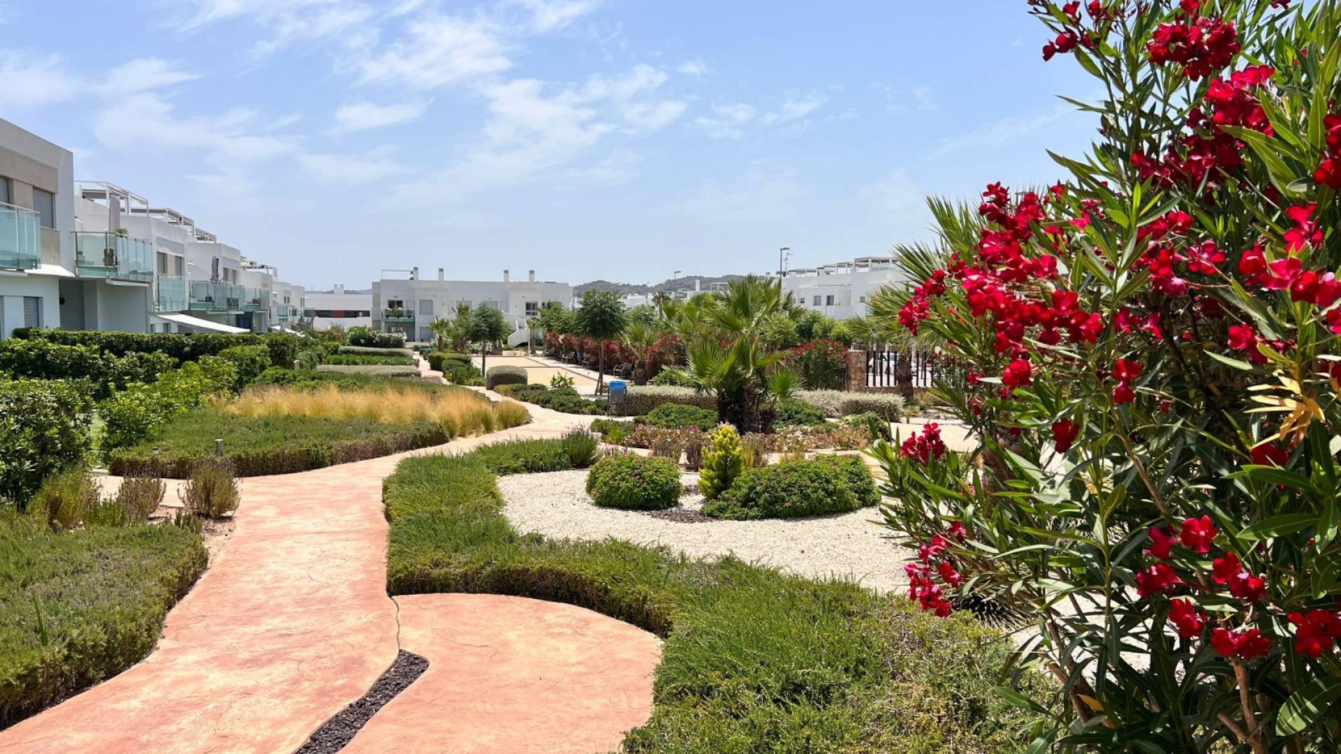 z drugiej ręki - Apartament - Orihuela - Entre Naranjos Vistabella Golf