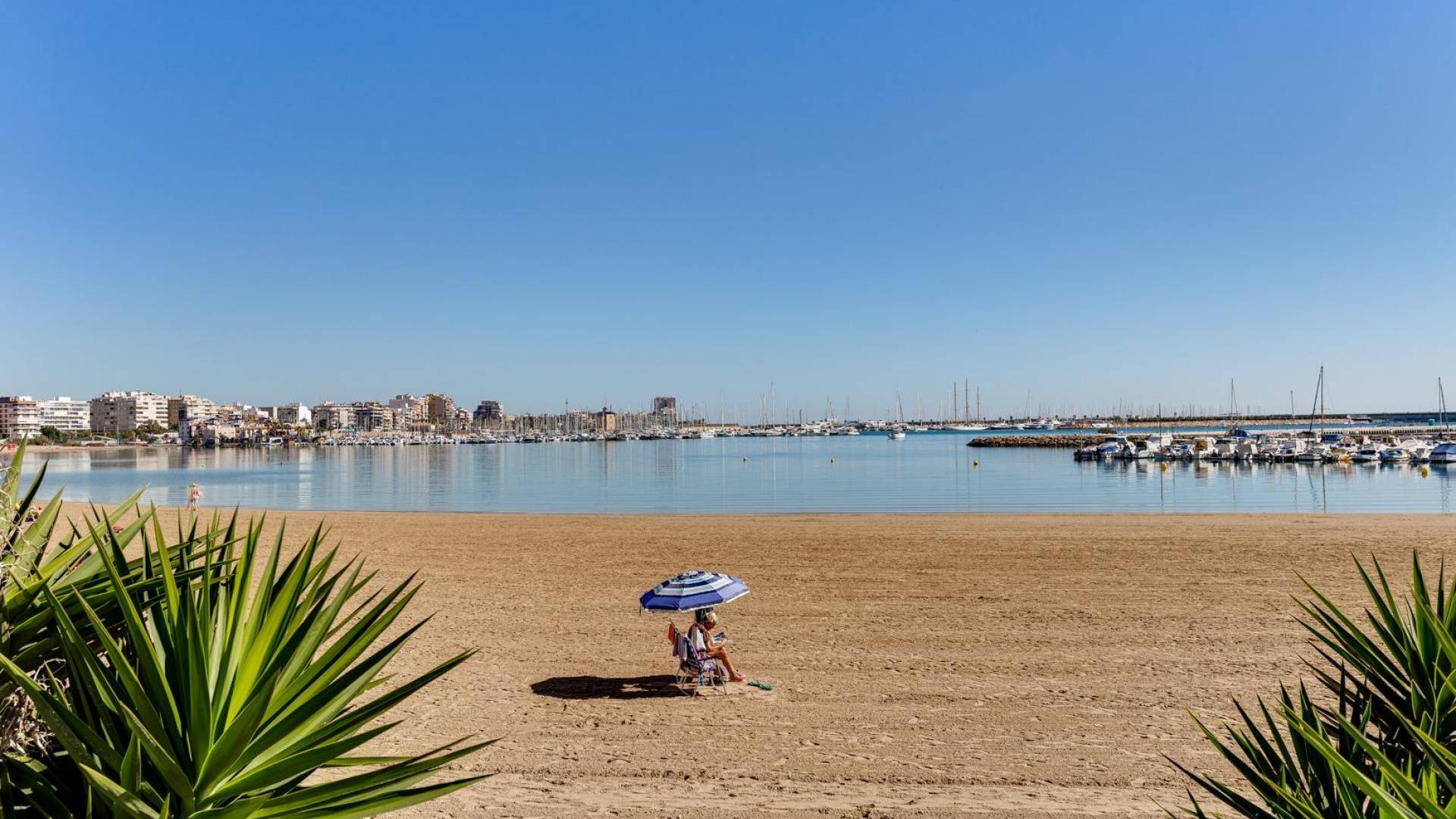 z drugiej ręki - Apartament - Torrevieja - Centro - Muelle Pesquero