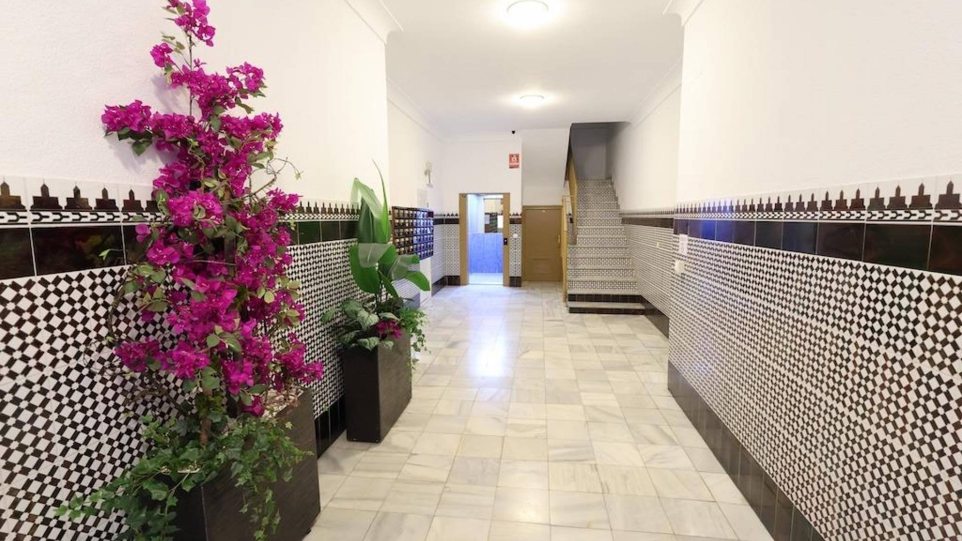 z drugiej ręki - Apartament - Torrevieja - Centro