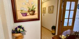 z drugiej ręki - Apartament - Torrevieja - Centro