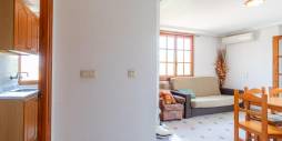 z drugiej ręki - Apartament - Torrevieja - La Mata pueblo