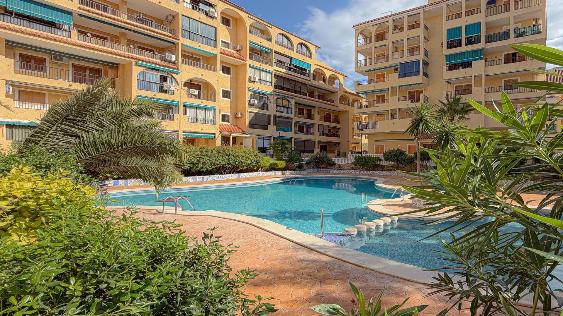 z drugiej ręki - Apartament - Torrevieja - La Mata
