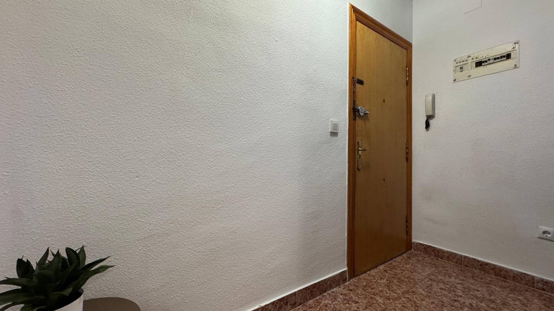 z drugiej ręki - Apartament - Torrevieja - torrevieja