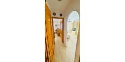 z drugiej ręki - Apartament - Torrevieja - Urbanización San Luis