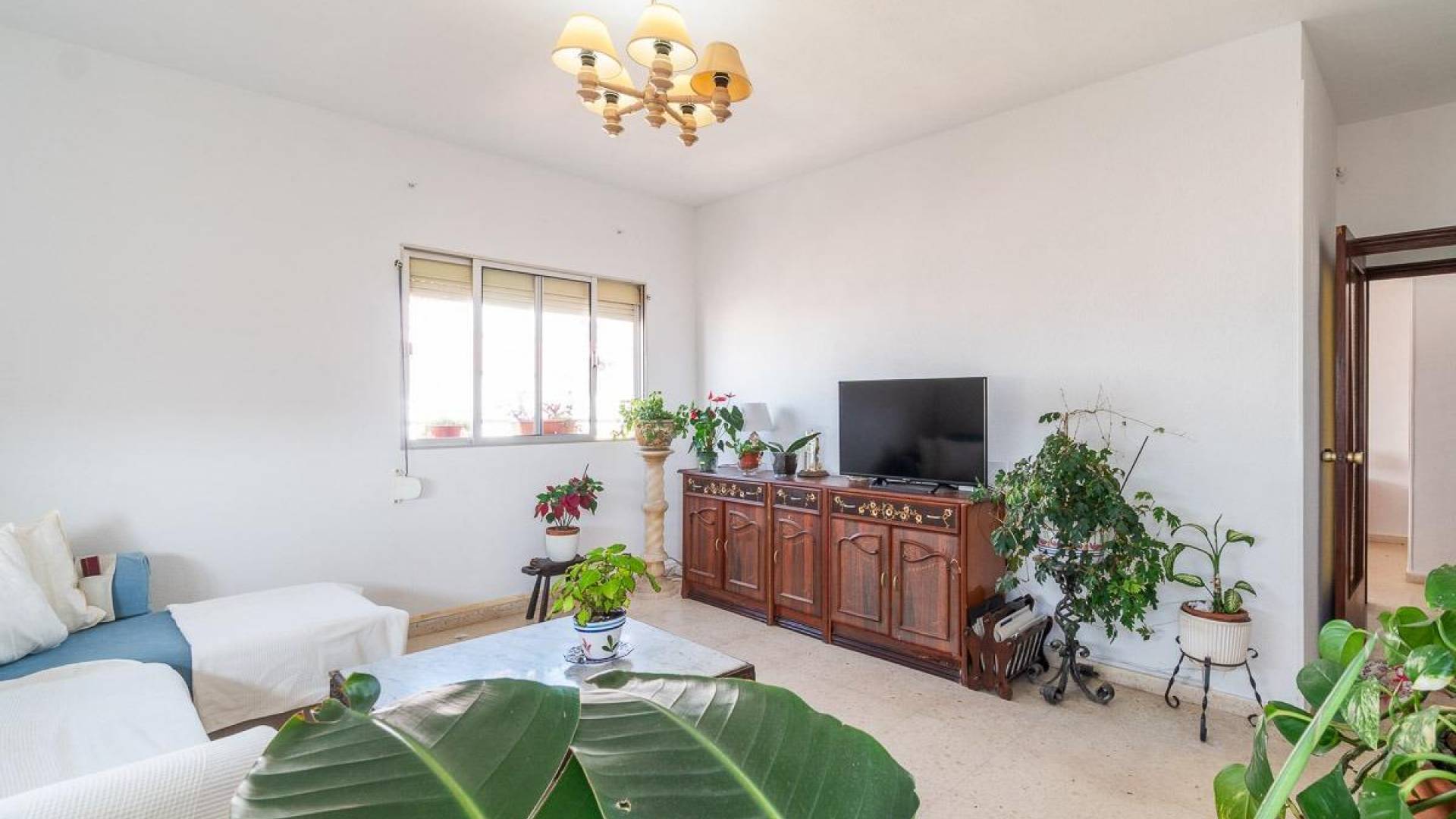 z drugiej ręki - Apartament - Torrevieja - 