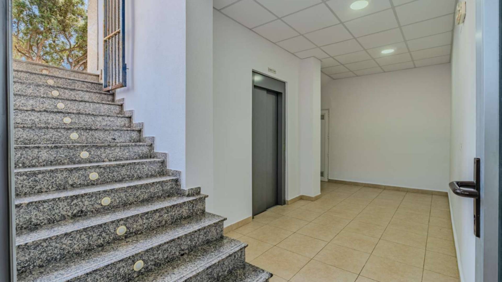 z drugiej ręki - Biznes lokalny - Torrevieja - Nueva Torrevieja - Aguas Nuevas