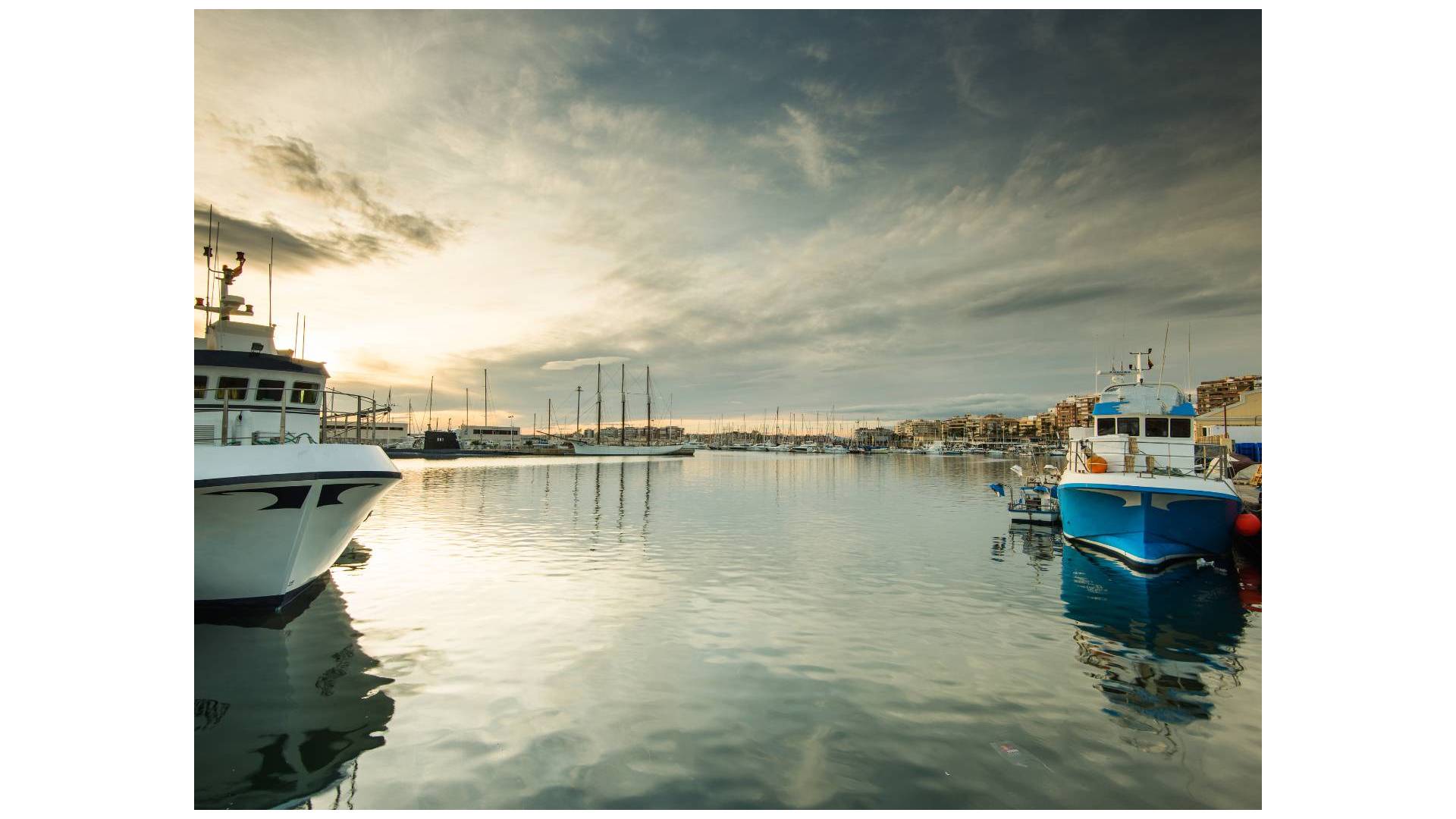 z drugiej ręki - Bliźniak - Torrevieja - Los altos