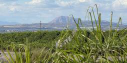 z drugiej ręki - Daszek - Torrevieja - El Acequión - Los Náufragos