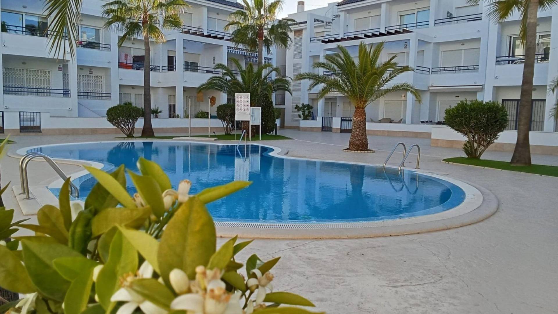 z drugiej ręki - Daszek - Torrevieja - La veleta