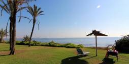z drugiej ręki - Daszek - Torrevieja - La veleta