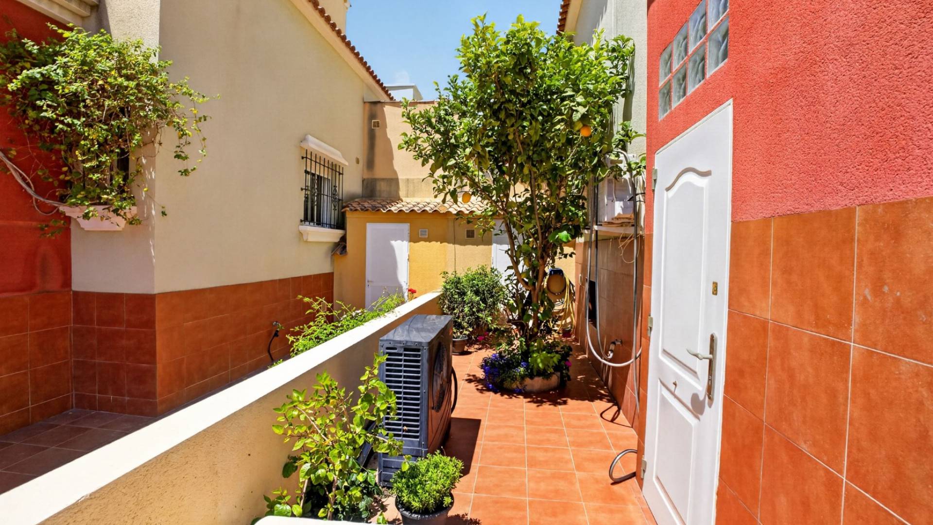 z drugiej ręki - - DOM MIEJSKI - Torrevieja - Aguas Nuevas
