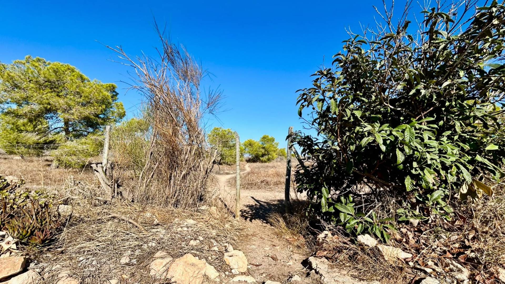 z drugiej ręki - Dom szeregowy - Torrevieja - La siesta