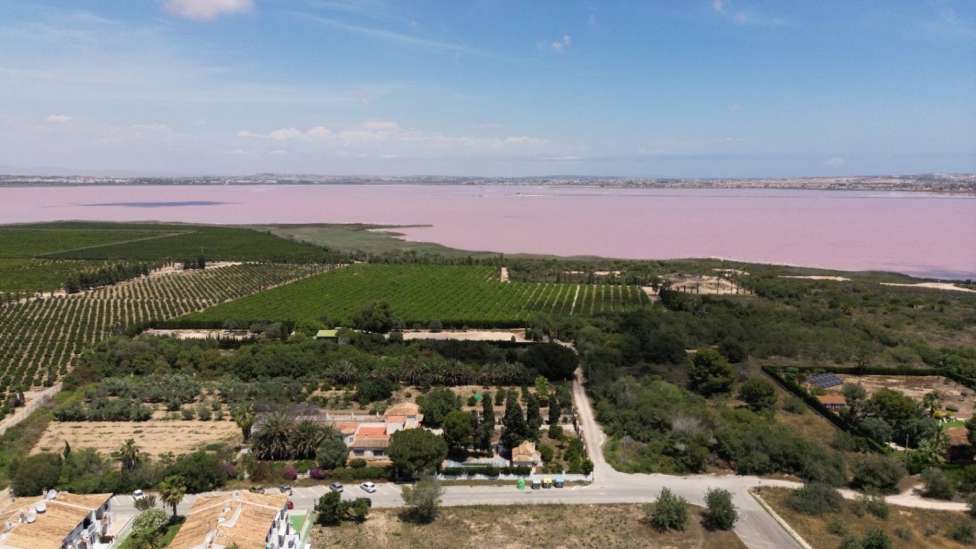 z drugiej ręki - Dom szeregowy - Torrevieja - Lago jardin