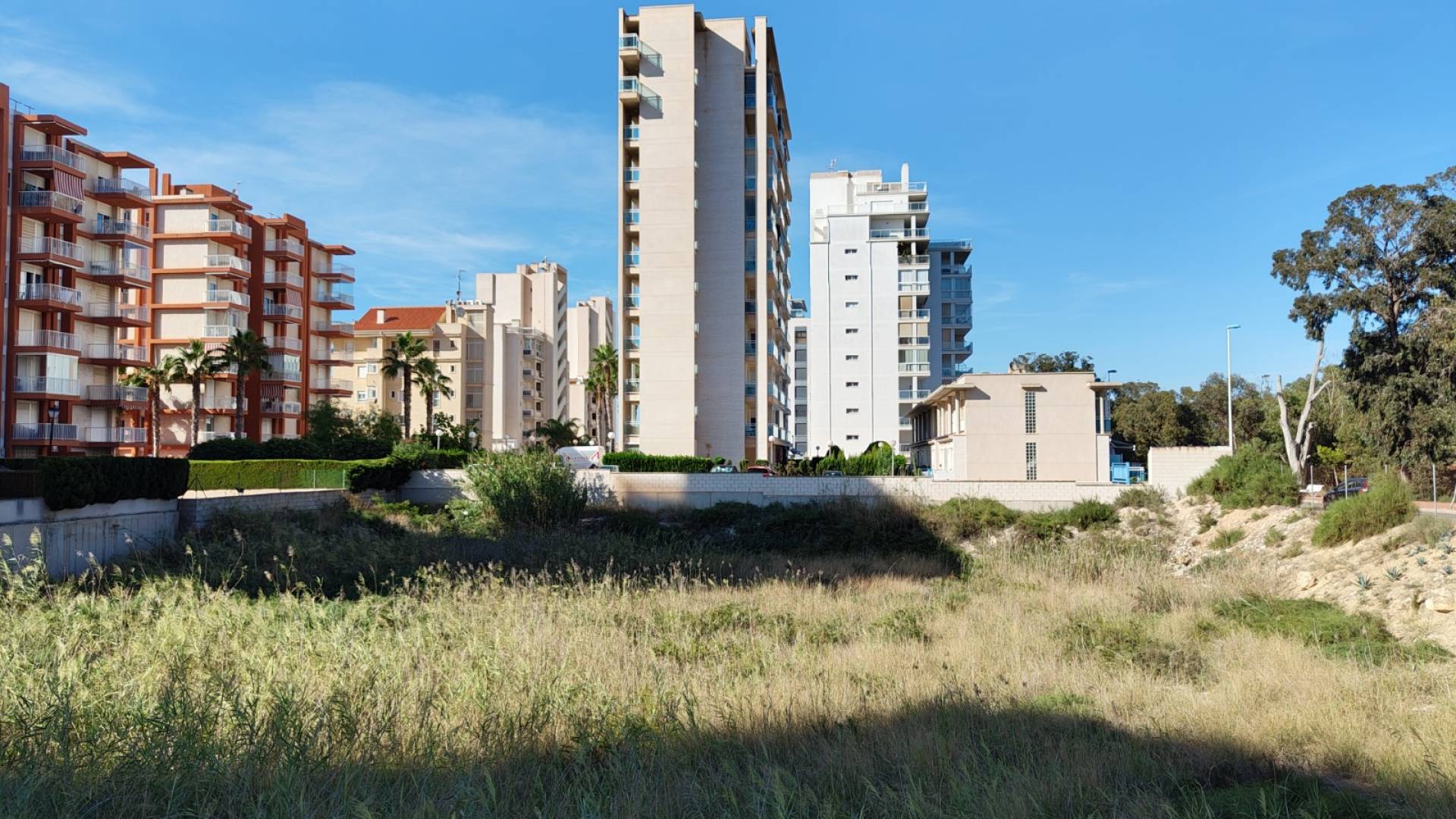 z drugiej ręki - Działka - Guardamar del Segura - Guardamar pueblo