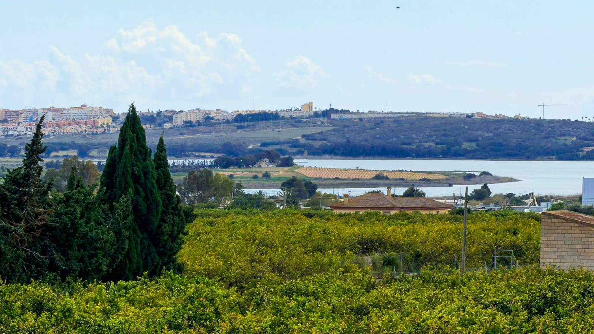 z drugiej ręki - Nieruchomość Finca Country - Guardamar del Segura