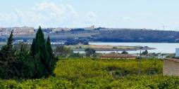 z drugiej ręki - Nieruchomość Finca Country - Guardamar del Segura