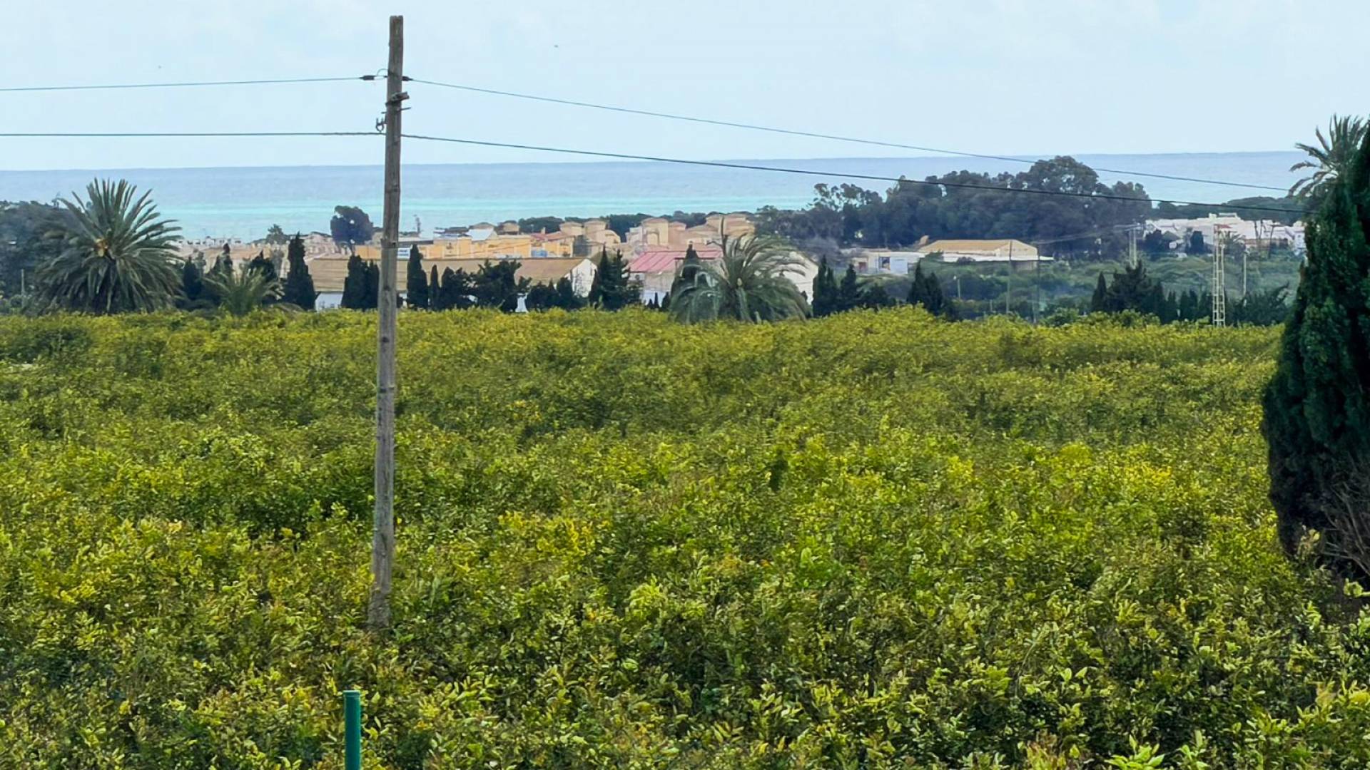 z drugiej ręki - Nieruchomość Finca Country - Guardamar del Segura