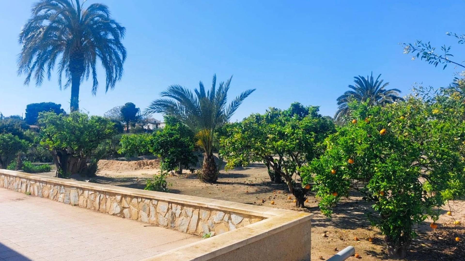 z drugiej ręki - Nieruchomość Finca Country - La marina - La Marina del Pinet