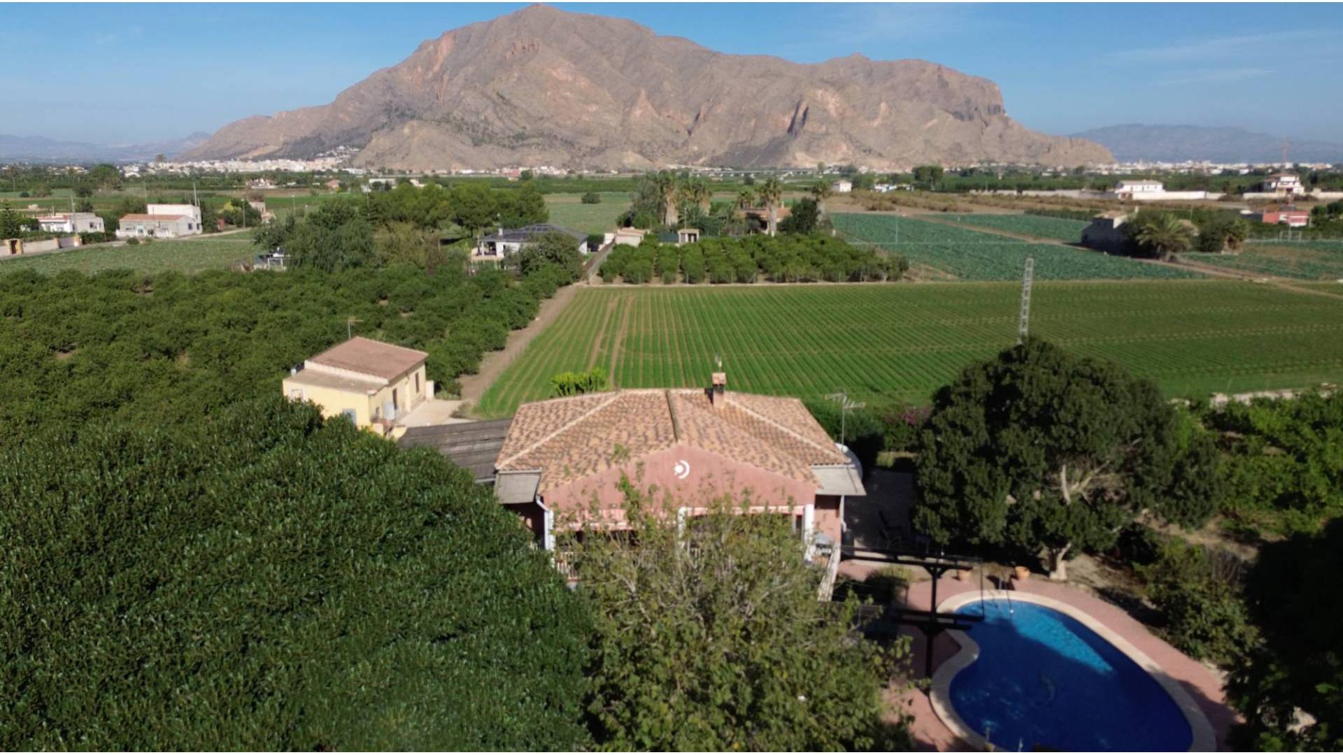 z drugiej ręki - Nieruchomość Finca Country - Orihuela - San Bartolomé