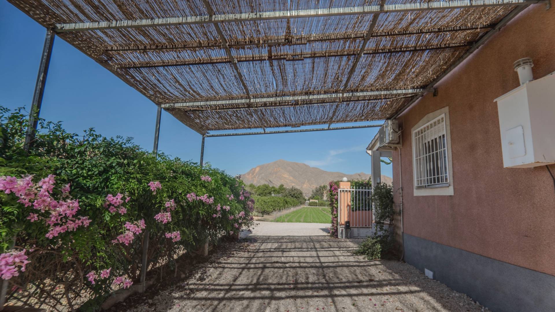 z drugiej ręki - Nieruchomość Finca Country - Orihuela - San Bartolomé
