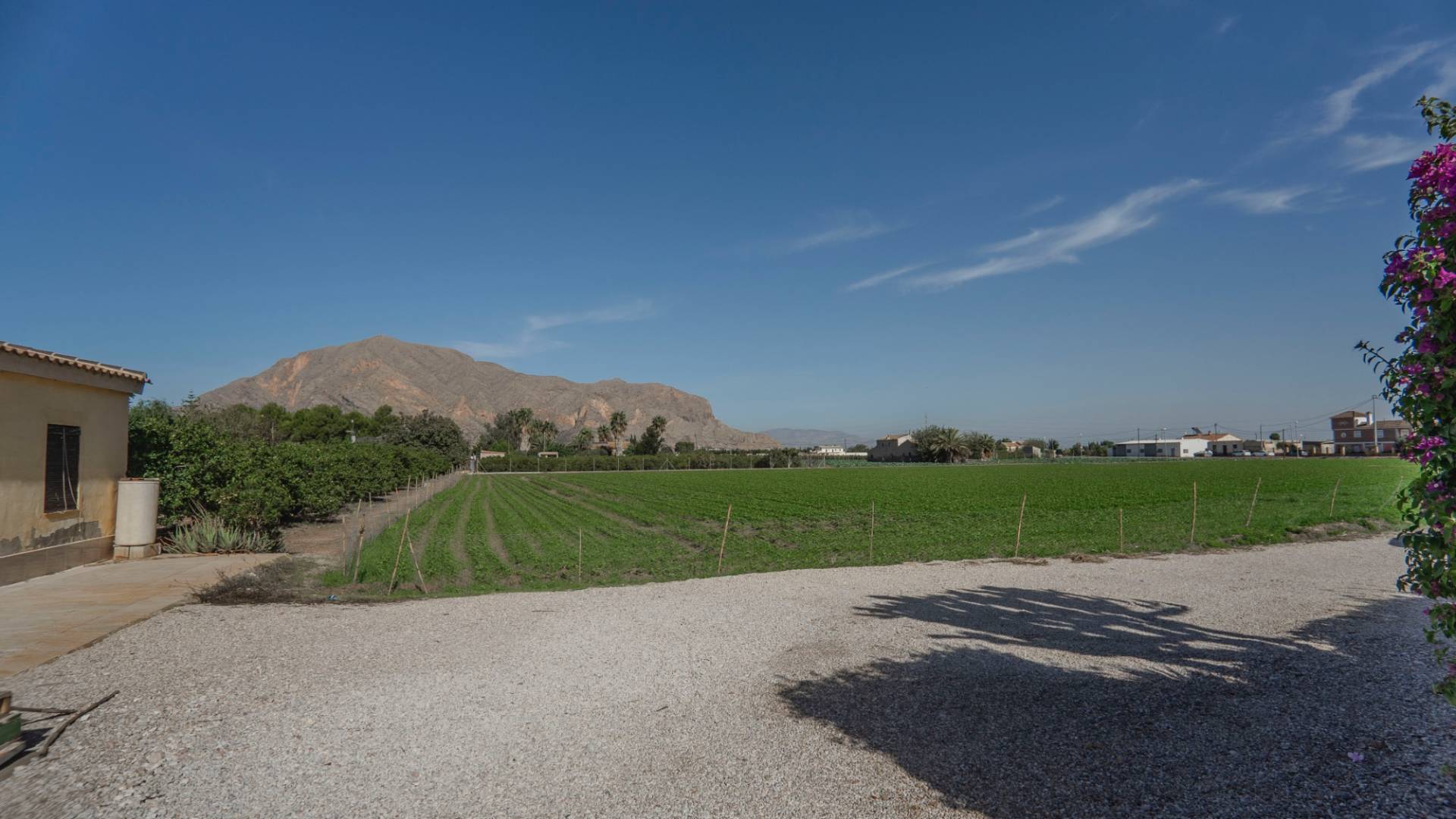 z drugiej ręki - Nieruchomość Finca Country - Orihuela - San Bartolomé