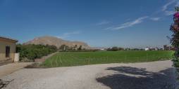z drugiej ręki - Nieruchomość Finca Country - Orihuela - San Bartolomé
