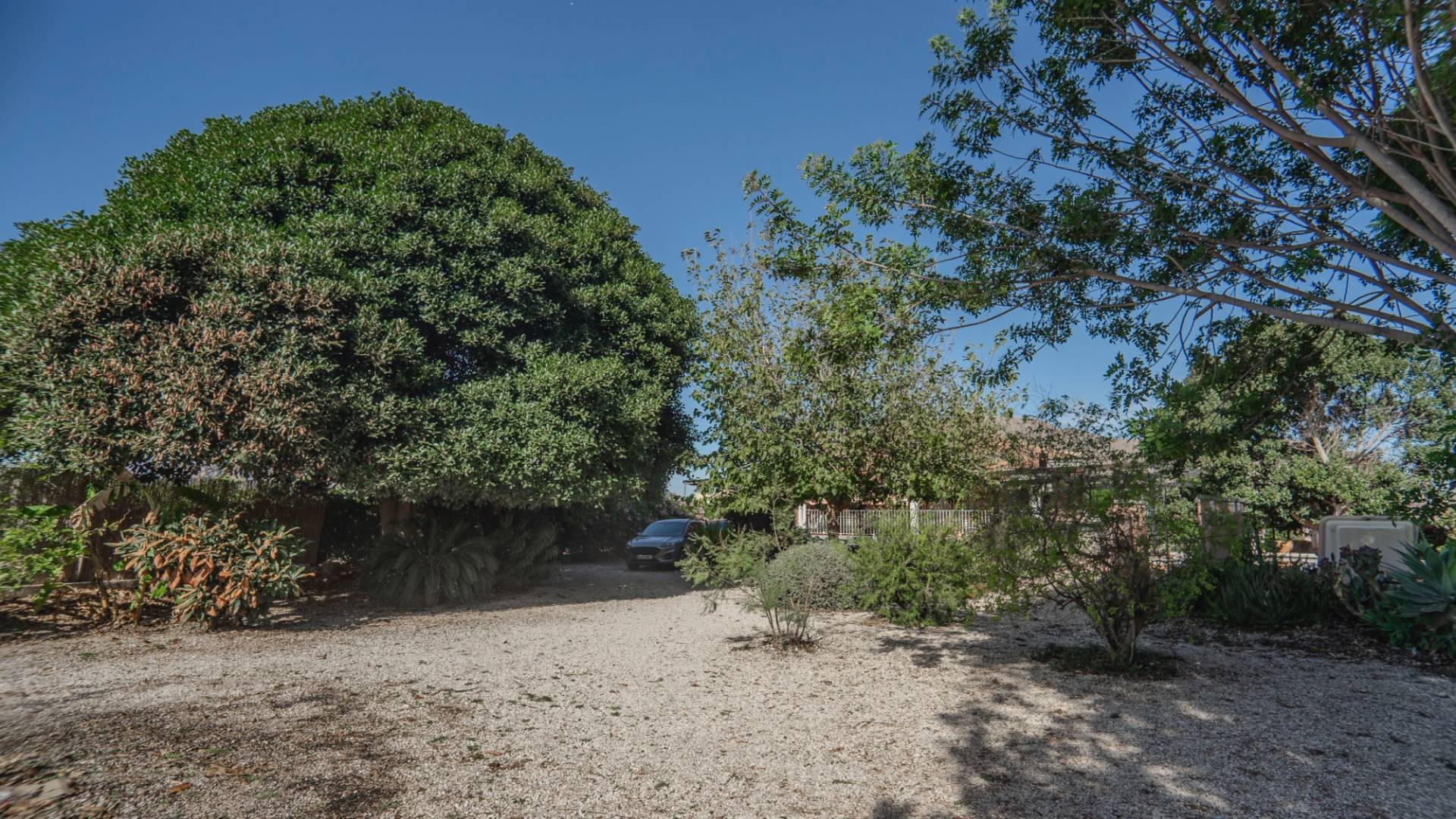 z drugiej ręki - Nieruchomość Finca Country - Orihuela - San Bartolomé