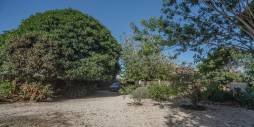 z drugiej ręki - Nieruchomość Finca Country - Orihuela - San Bartolomé
