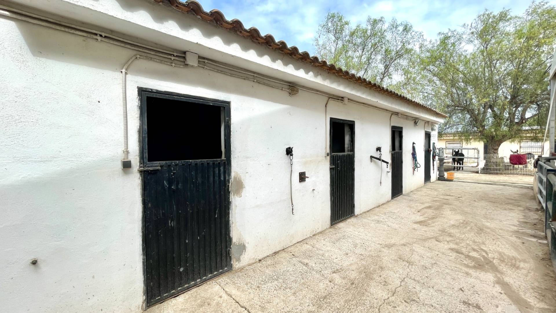 z drugiej ręki - Nieruchomość Finca Country - Orihuela