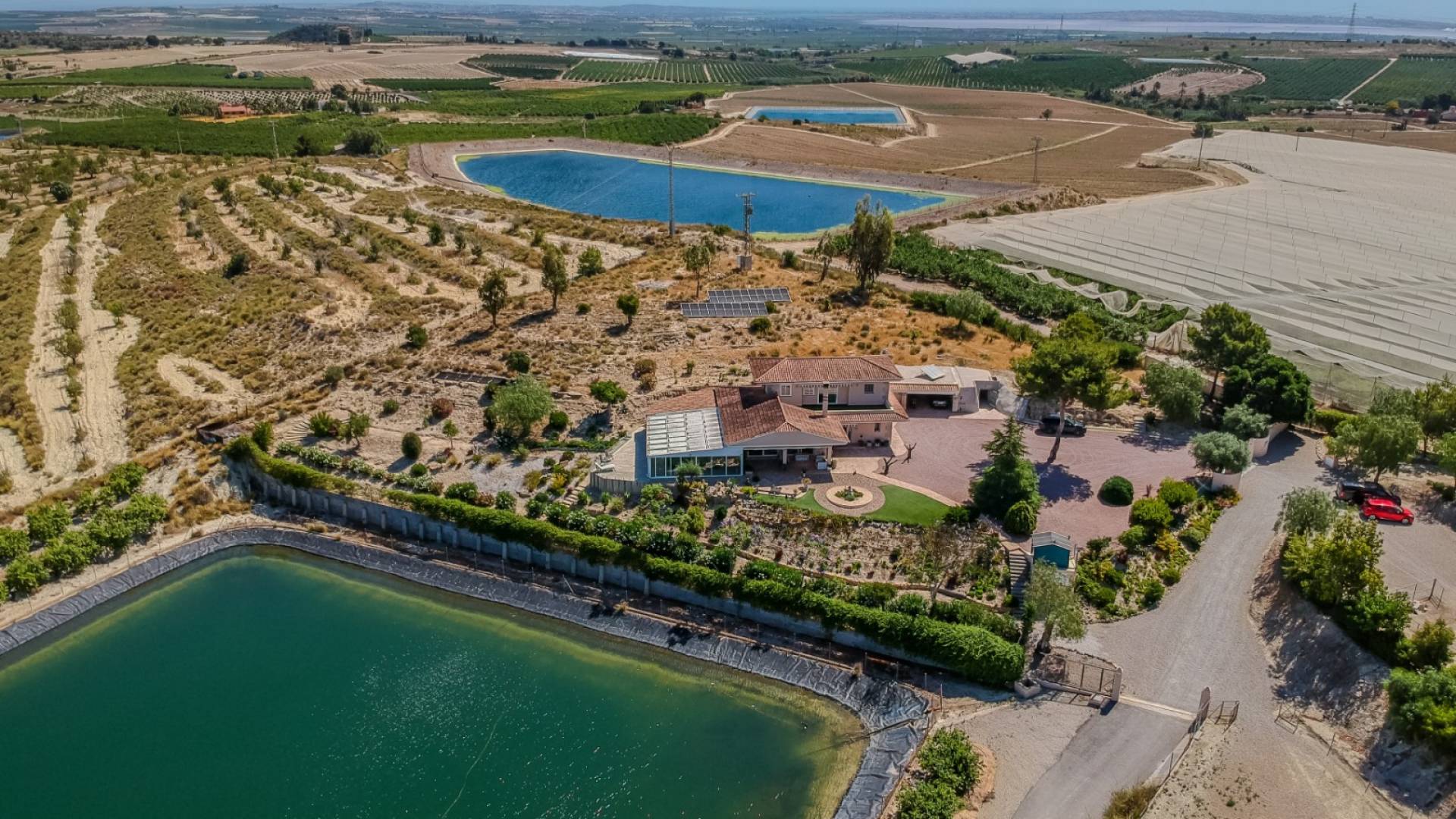 z drugiej ręki - Nieruchomość Finca Country - San Miguel de Salinas - Torremendo