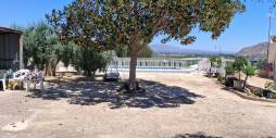 z drugiej ręki - Terreno - Orihuela - 
