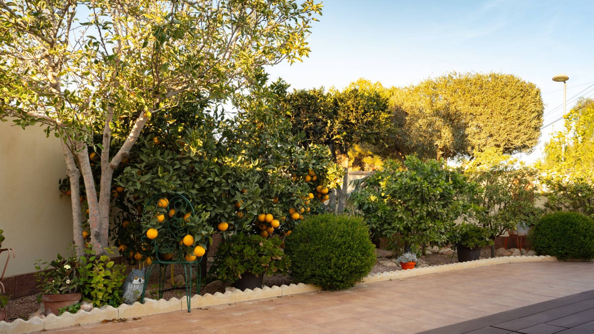 z drugiej ręki - Willa w zabudowie bliźniaczej - Torrevieja - Los balcones