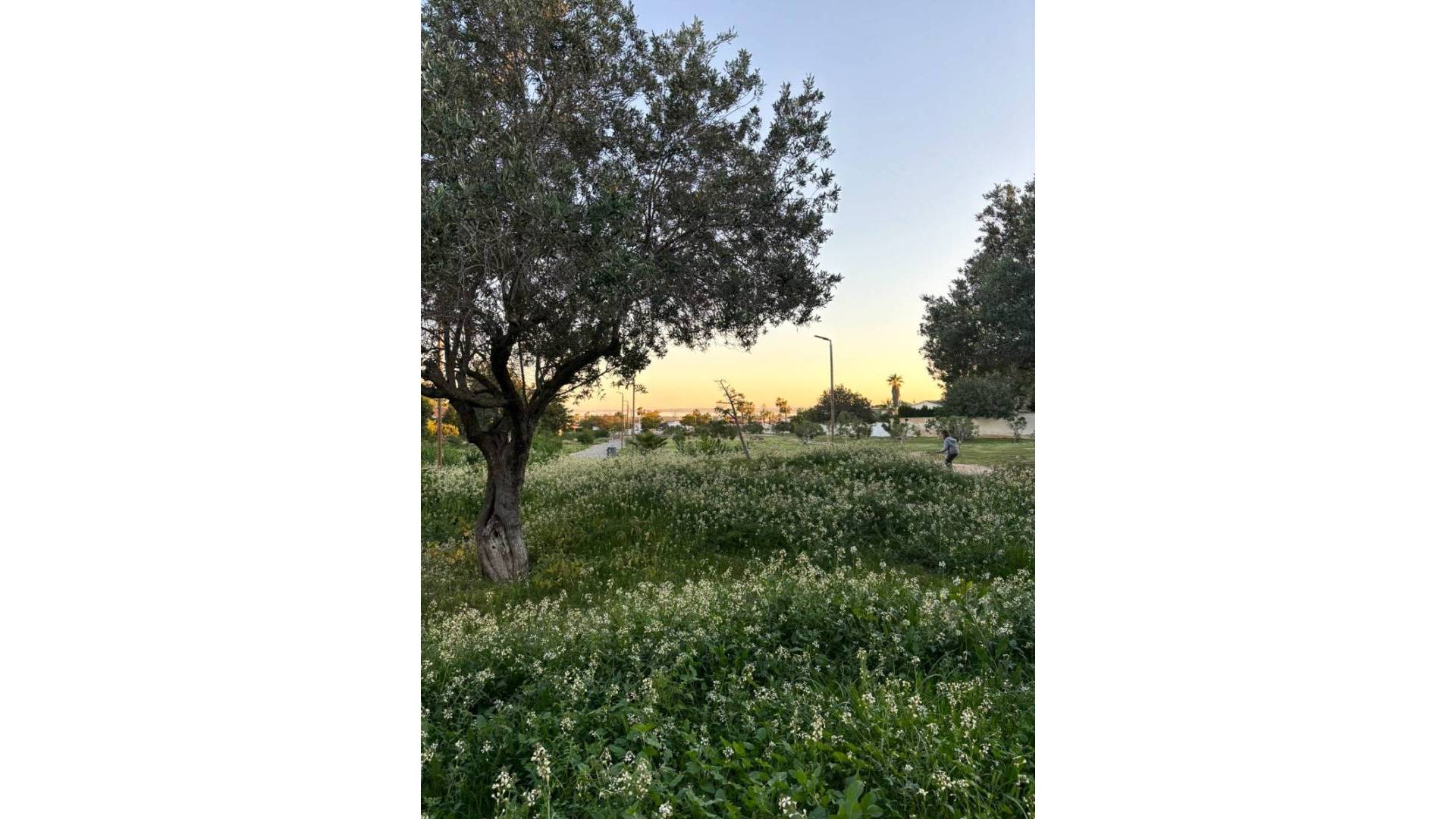 z drugiej ręki - Wolnostojąca willa - Ciudad Quesada - Rojales - Cuidad quesada