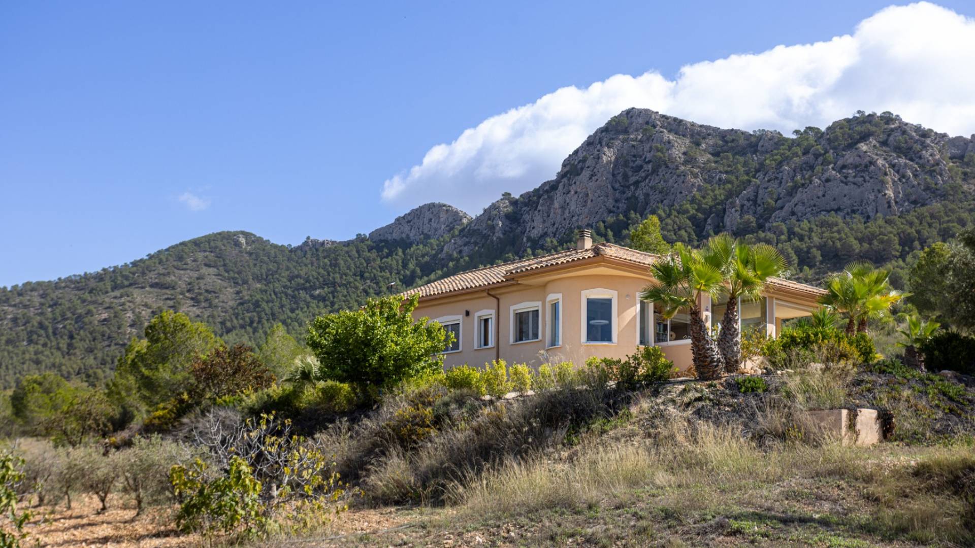 z drugiej ręki - Wolnostojąca willa - La Zarza - La Zarza Murcia