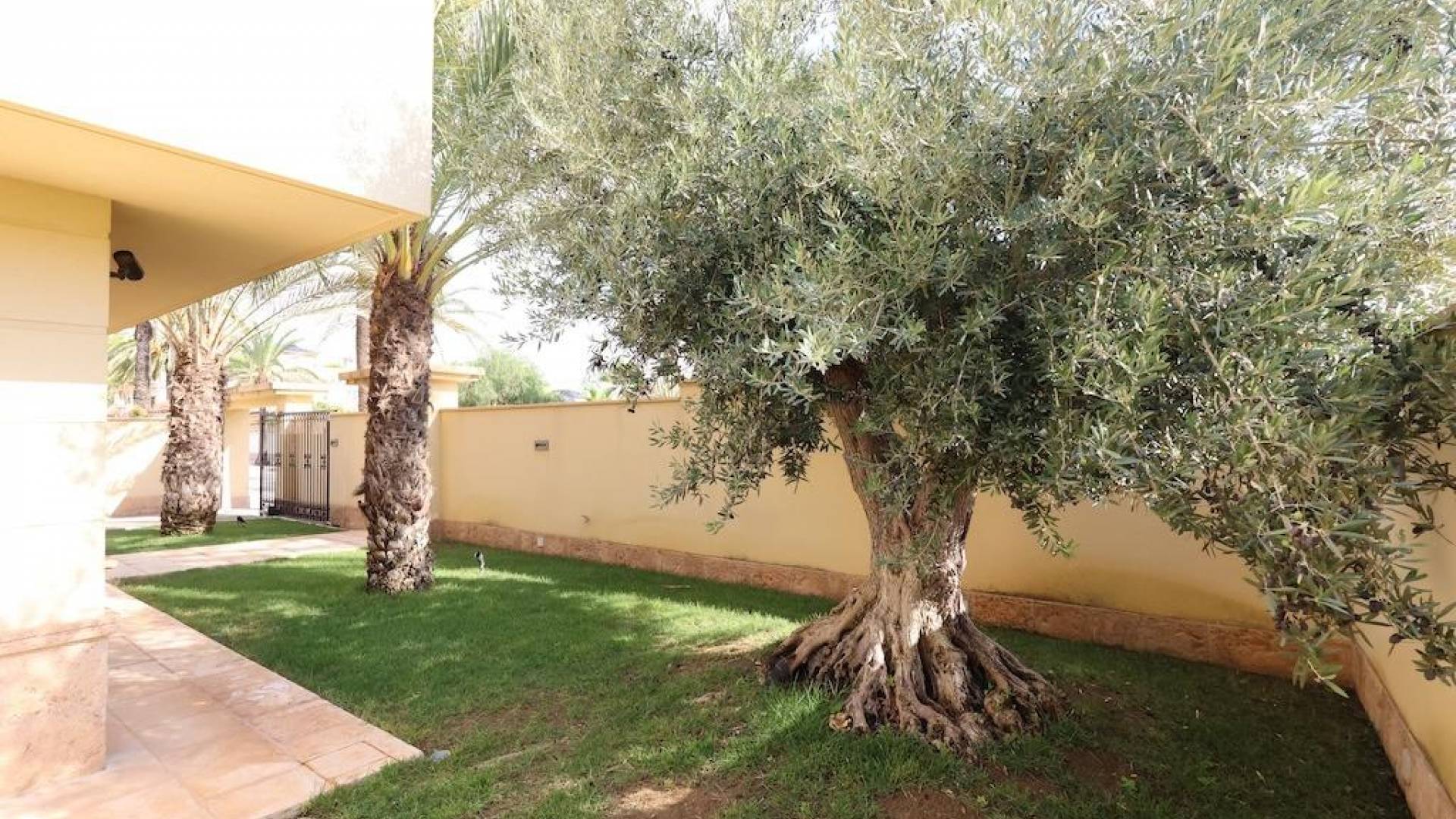 z drugiej ręki - Wolnostojąca willa - Orihuela Costa - Lomas de Cabo Roig