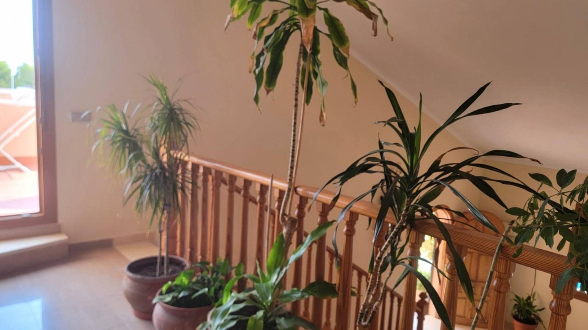 z drugiej ręki - Wolnostojąca willa - Torrevieja - Aguas Nuevas