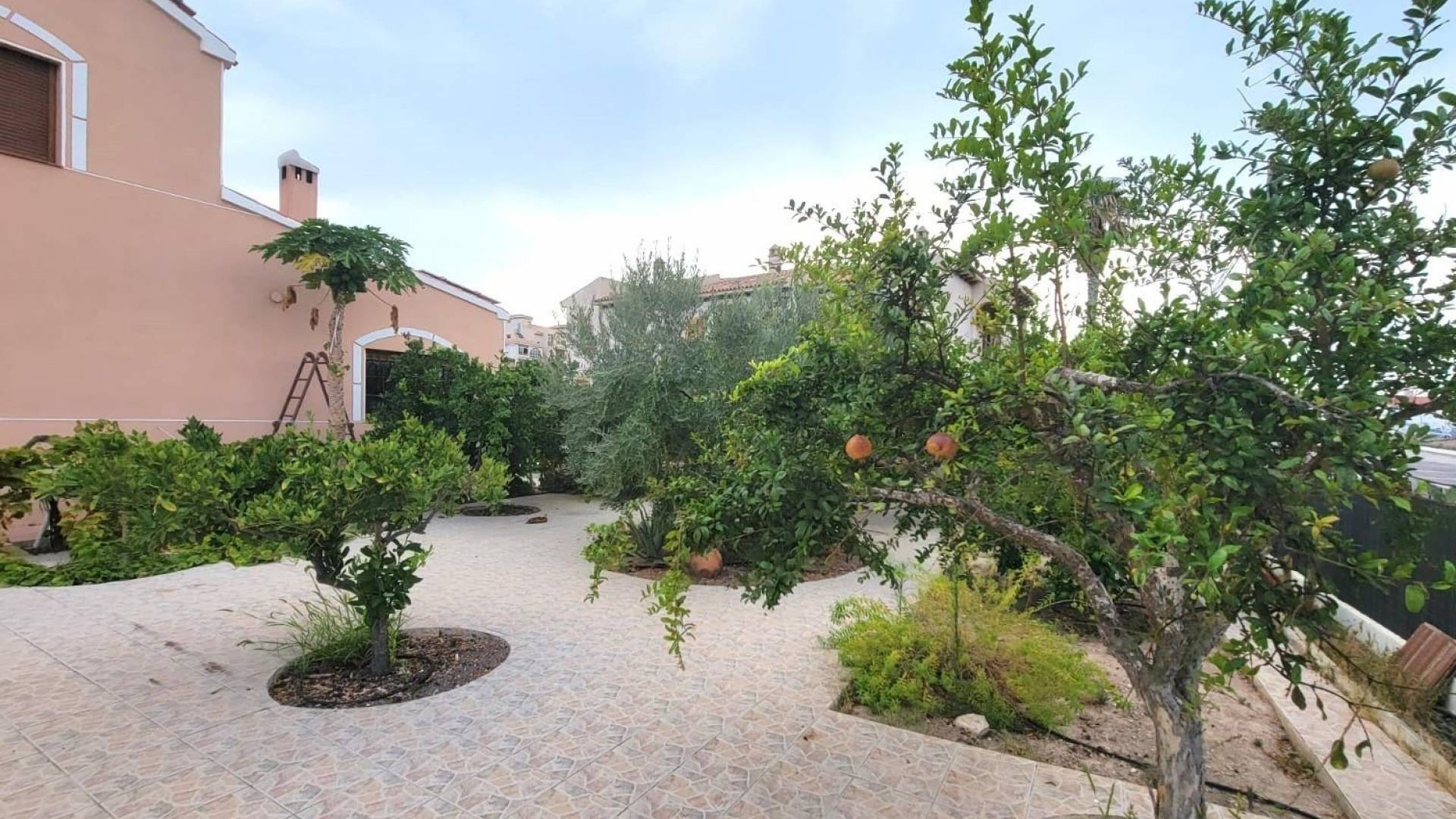 z drugiej ręki - Wolnostojąca willa - Torrevieja - Aguas Nuevas