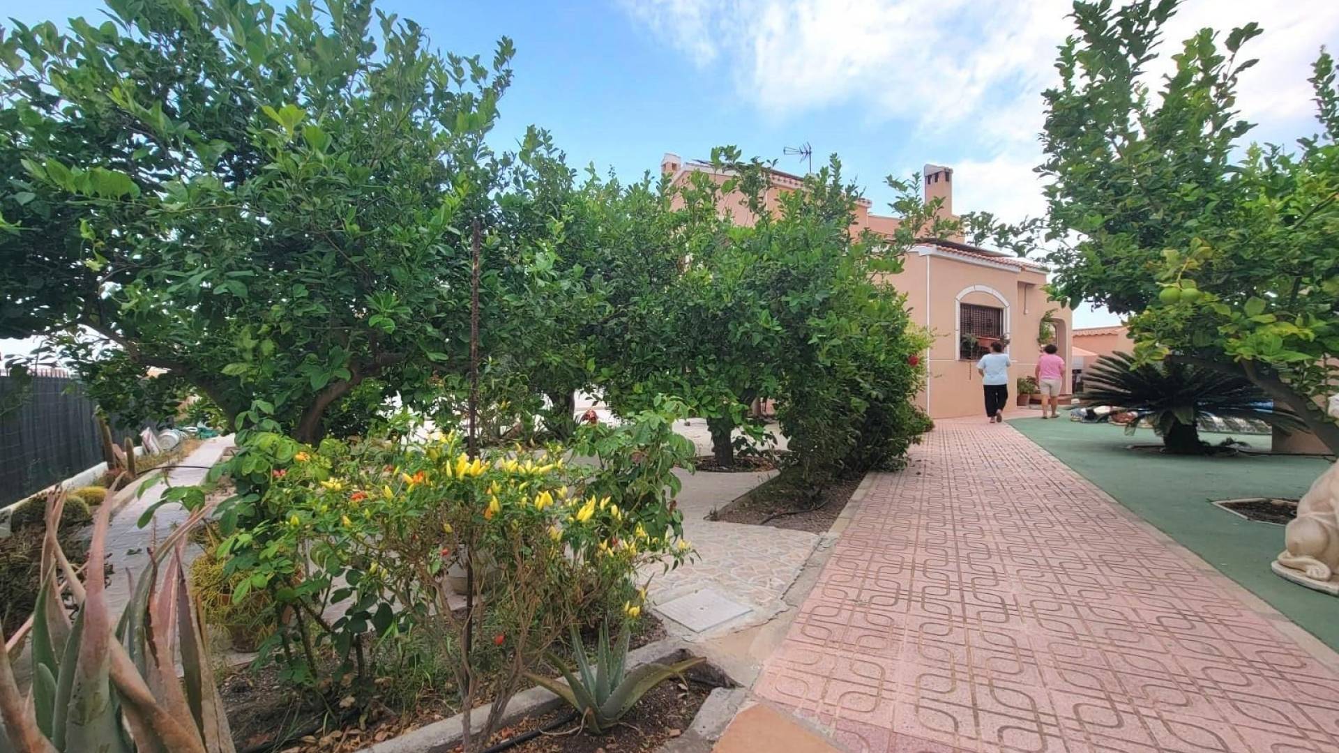 z drugiej ręki - Wolnostojąca willa - Torrevieja - Aguas Nuevas